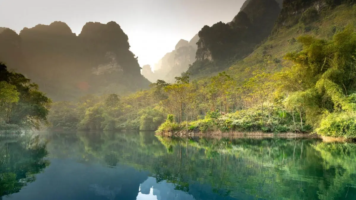高效高性能